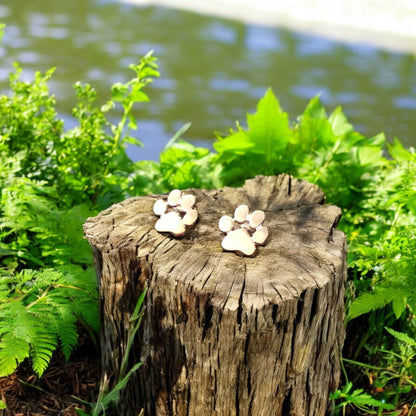 Hypoallergena pootavtrycksörhängen